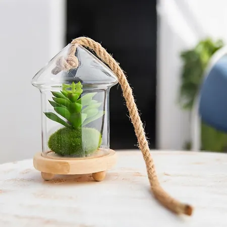 Apartamento Cofete *
