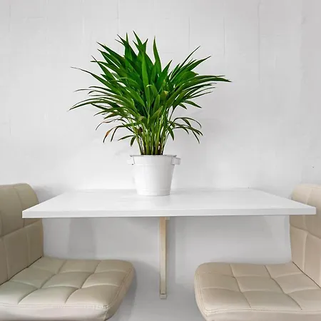 Apartamento Cofete * Puerto del Rosario (Fuerteventura)